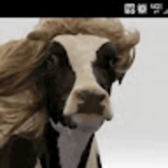 Meet your Posher, Andrew - Picture 1 of 1